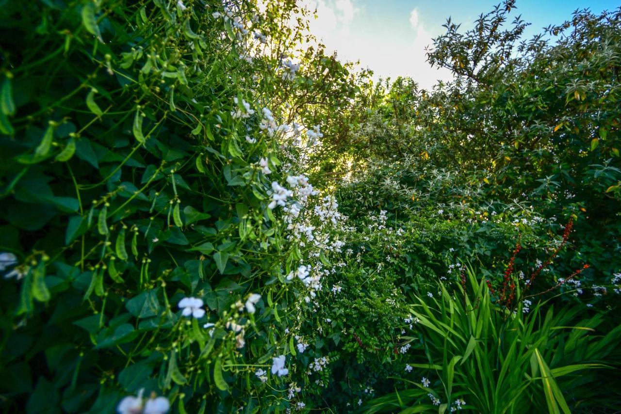 Margaret River Guest House Exterior photo